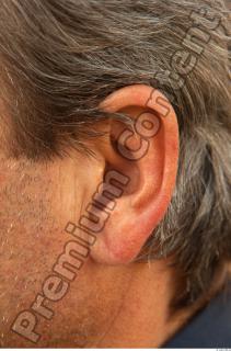 Ear texture of street references 455 0001